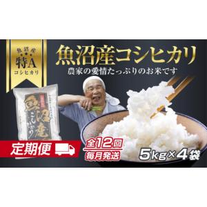 ふるさと納税 米 コシヒカリ 新潟県 - DH...の詳細画像1