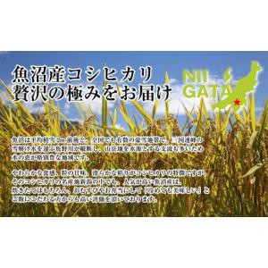 ふるさと納税 米 コシヒカリ 新潟県 - DH...の詳細画像5