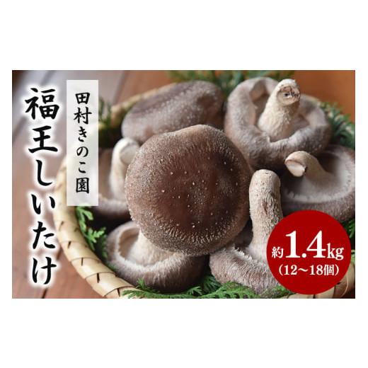 ふるさと納税 野菜類 きのこ 茨城県 笠間市  先行販売／2025年10月中旬〜発送 福王しいたけ ...