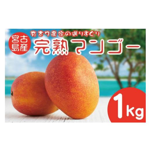 ふるさと納税 沖縄県 宮古島市 ★令和6年発送★完熟アップルマンゴー 1kg【農空間】