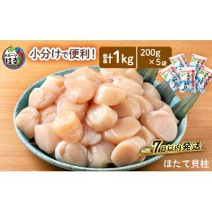 ふるさと納税 魚貝類 ホタテ 北海道 枝幸町 ...の詳細画像1