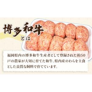 ふるさと納税 肉 ハンバーグ 福岡県 糸島市 ...の詳細画像4