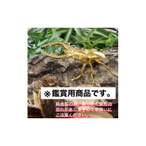 ふるさと納税 金工品 山梨県 南アルプス市 置...の詳細画像4