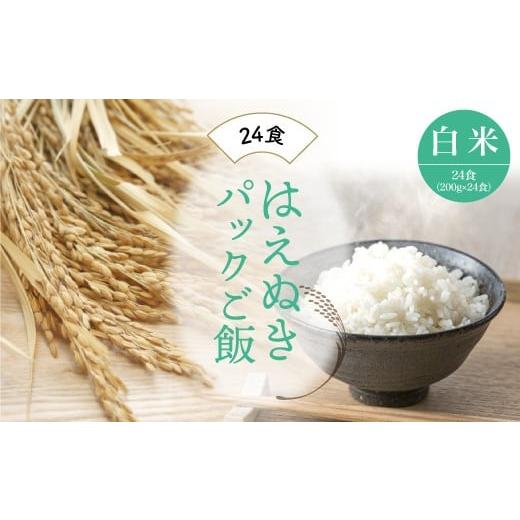 ふるさと納税 山形県 鮭川村 はえぬき　パックご飯（白米）24食