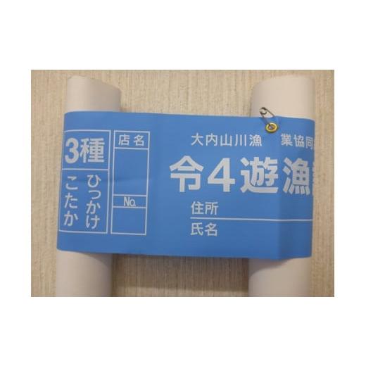 ふるさと納税 三重県 大紀町 鮎　遊漁券　年券　3種／大内山川漁業協同組合　釣り　ひっかけ　こたか　...