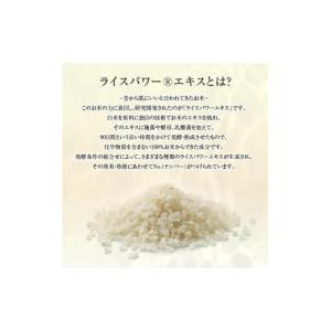 ふるさと納税 化粧水・乳液 美容液・クリーム ...の詳細画像5
