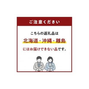 ふるさと納税 いちご 福岡県 八女市 福岡・八...の詳細画像4