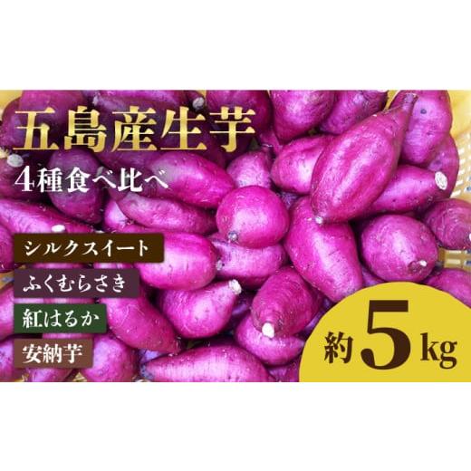 ふるさと納税 野菜類 サツマイモ 長崎県 五島市 五島産生芋5kg 安納芋 シルクスイート 紅はるか...