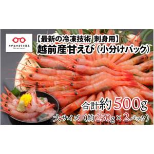 ふるさと納税 福井県 鯖江市 【越前産】【小分け】冷凍甘えび大サイズ 約250g × 2パック 合計約500g（30尾〜40尾） [A-11009] ／ 甘えび 海老 福井｜furusatochoice