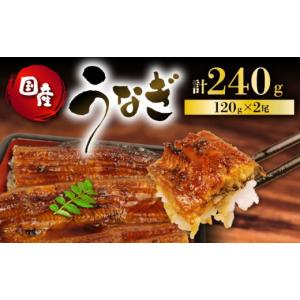 ふるさと納税 魚貝類 静岡県 藤枝市 うなぎ 国...の商品画像