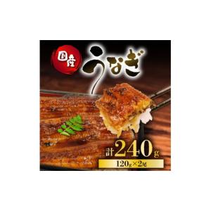 ふるさと納税 魚貝類 静岡県 藤枝市 うなぎ ...の詳細画像1