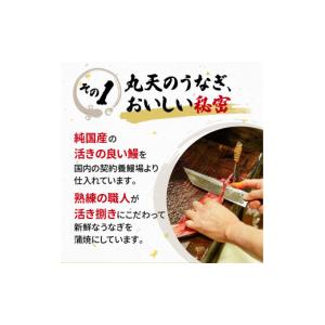 ふるさと納税 魚貝類 静岡県 藤枝市 うなぎ ...の詳細画像2