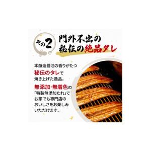 ふるさと納税 魚貝類 静岡県 藤枝市 うなぎ ...の詳細画像3