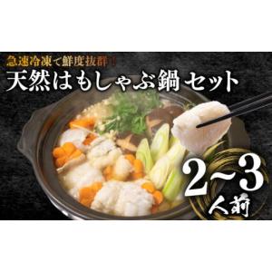 ふるさと納税 山口県 下関市 ハモしゃぶ鍋セット 2~3人...