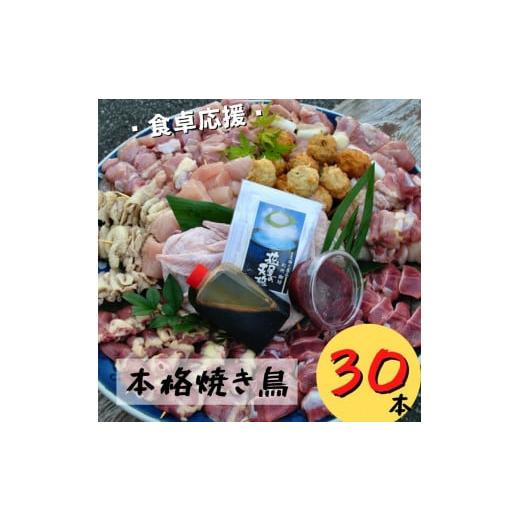 ふるさと納税 和歌山県 御坊市 【1061-1】【本格焼き鳥お任せセット3０本】BBQ、キャンプに！...