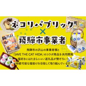 ふるさと納税 雑貨・日用品 インテリア 岐阜県...の詳細画像5