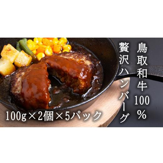 ふるさと納税 鳥取県 智頭町 U1-5 鳥取和牛100％贅沢ハンバーグ（100g×2個×5パック）