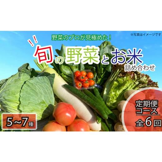 ふるさと納税 徳島県 阿波市 定期便 年6回 野菜 5~7品目 米 5kg 詰め合わせ セット 旬 ...