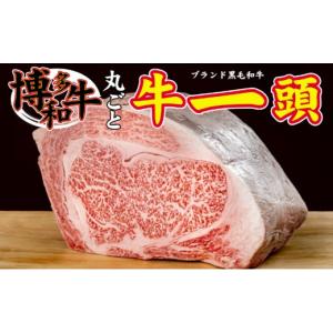 ふるさと納税 牛肉 焼肉・バーベキュー 福岡県...の詳細画像1