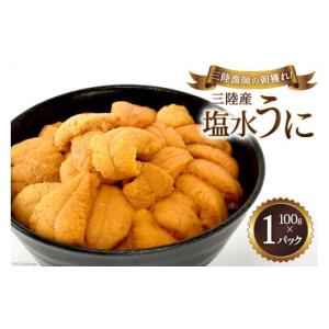 ふるさと納税 宮城県 気仙沼市 ＜先行＞三陸産塩水うに