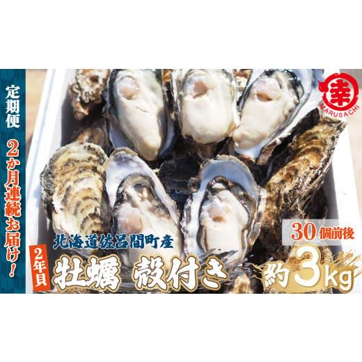 ふるさと納税 北海道 佐呂間町 【先行予約】カキ 殻付き 2年貝 約3kg（30個前後） 佐呂間産 ...