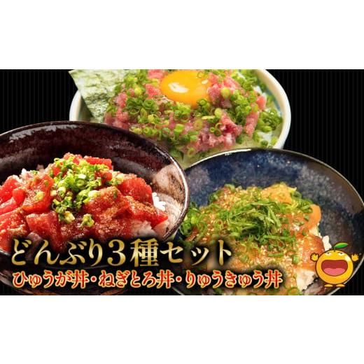 ふるさと納税 大分県 津久見市 どんぶり3種セット ぶりのりゅうきゅう丼・ひゅうが丼・ねぎとろセット...