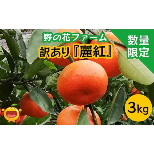 ふるさと納税 大分県 津久見市 【先行予約・数量限定】野の花ファーム 訳あり 麗紅 3kg みかん ...