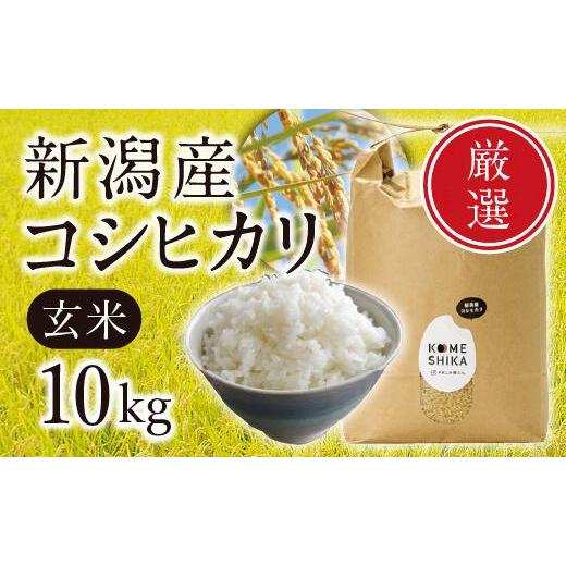 ふるさと納税 新潟県 - 【令和5年産米】新潟産コシヒカリ 玄米10kg