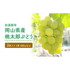 ふるさと納税 岡山県 倉敷市 GV05　【加温栽培】岡山県産桃太郎ぶどう2房入り（1房480ｇ以上）...