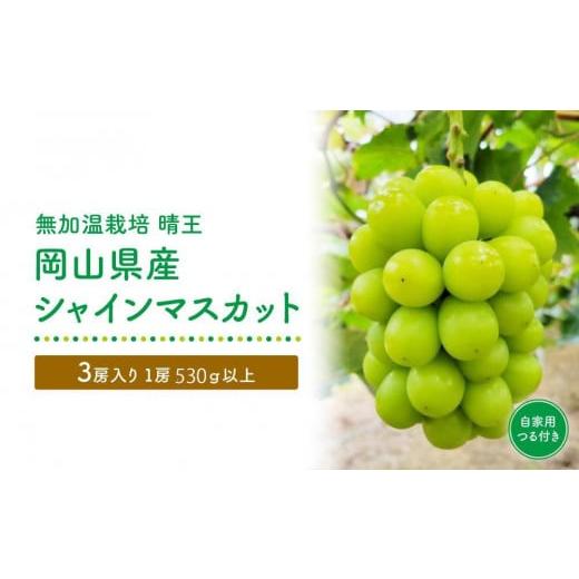 ふるさと納税 岡山県 倉敷市 GV15　【無加温栽培（晴王）】岡山県産シャインマスカット自家用つる付...