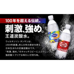 ふるさと納税 炭酸飲料 ソーダ水 兵庫県 神戸...の詳細画像2