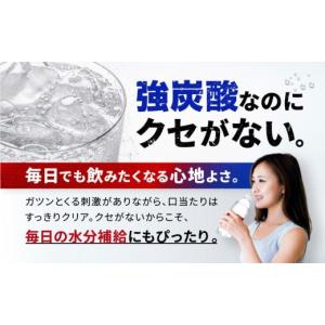 ふるさと納税 炭酸飲料 ソーダ水 兵庫県 神戸...の詳細画像3