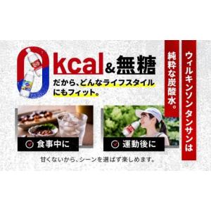 ふるさと納税 炭酸飲料 ソーダ水 兵庫県 神戸...の詳細画像4