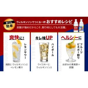 ふるさと納税 炭酸飲料 ソーダ水 兵庫県 神戸...の詳細画像5