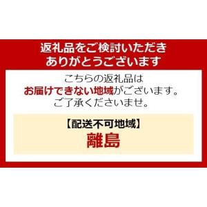 ふるさと納税 電化製品 宮城県 角田市 プロジ...の詳細画像4