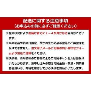 ふるさと納税 電化製品 宮城県 角田市 プロジ...の詳細画像3