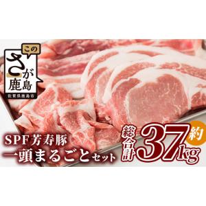 ふるさと納税 豚肉 セット 佐賀県 鹿島市 総重...の商品画像