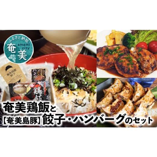 ふるさと納税 鹿児島県 奄美市 【奄美鶏飯】と【奄美島豚】餃子・ハンバーグのセット - ハンバーグ ...