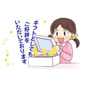 ふるさと納税 アイス・ヨーグルト ジェラート ...の詳細画像5