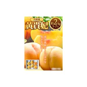 ふるさと納税 もも 和歌山県 紀の川市 先行予...の詳細画像2