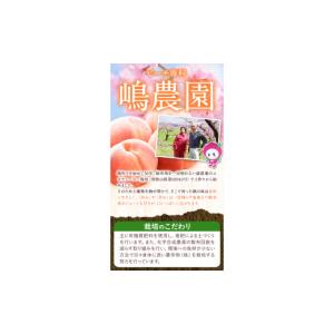 ふるさと納税 もも 和歌山県 紀の川市 先行予...の詳細画像3