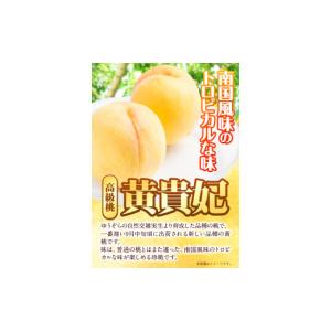 ふるさと納税 もも 和歌山県 紀の川市 先行予...の詳細画像4