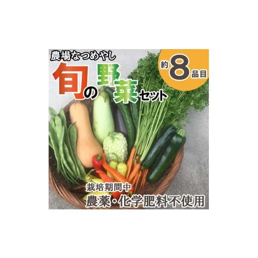 ふるさと納税 兵庫県 多可町 農場なつめやし　旬の野菜セット（栽培期間中、農薬・化学肥料不使用）[8...