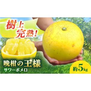 奄美大島 訳あり たんかん タンカン みかん ご家庭用 20kg／Lサイズ