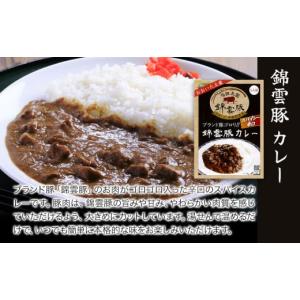 ふるさと納税 豚肉 カレー・シチュー 大分県 ...の詳細画像3