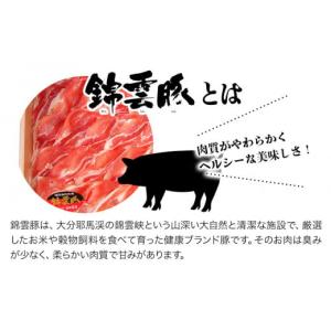ふるさと納税 豚肉 カレー・シチュー 大分県 ...の詳細画像4