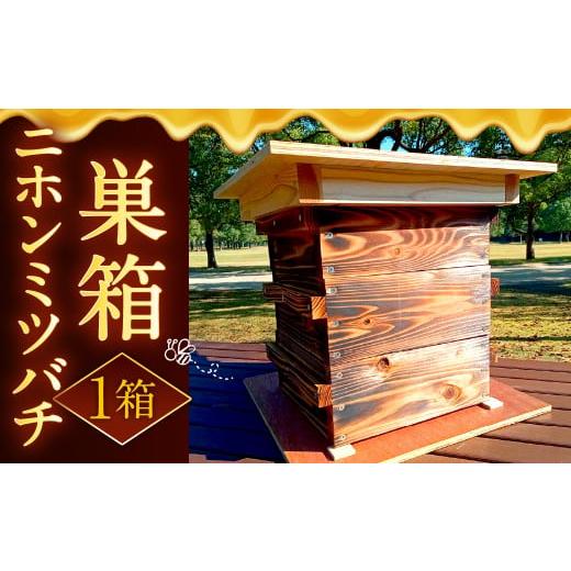 ふるさと納税 雑貨・日用品 福岡県 北九州市 ニホンミツバチ 巣箱 1セット ミツバチ ハチ 蜜蜂 ...