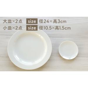ふるさと納税 食器・グラス セット 岐阜県 多...の詳細画像4