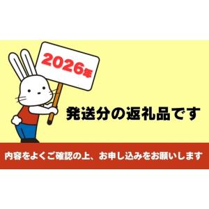 ふるさと納税 もも 福島県 福島市 No.24...の詳細画像2