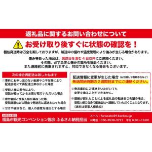 ふるさと納税 もも 福島県 福島市 No.24...の詳細画像4